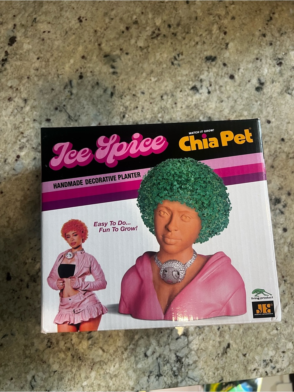Ice Spice Chia Pet - Brand New